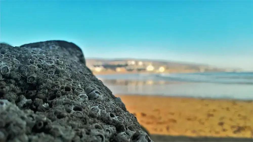 Baya House Sea View Apartamento Agadir Exterior foto
